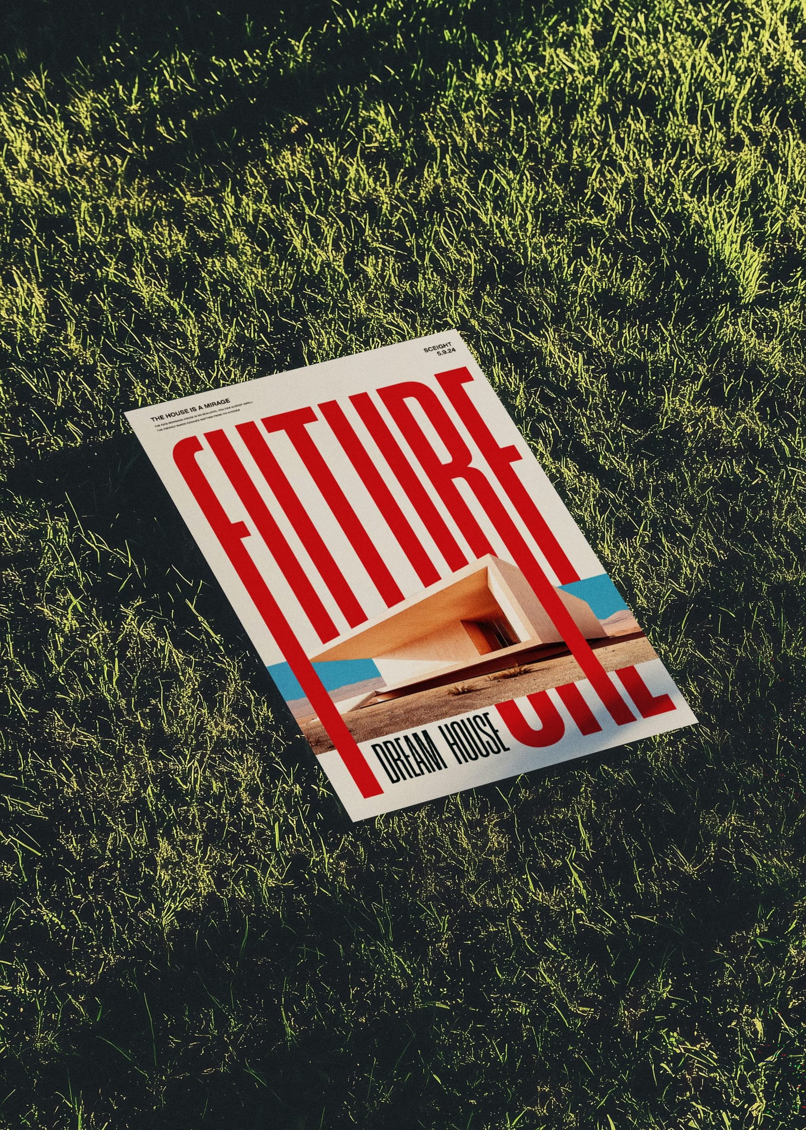 Poster Mockup on Grass