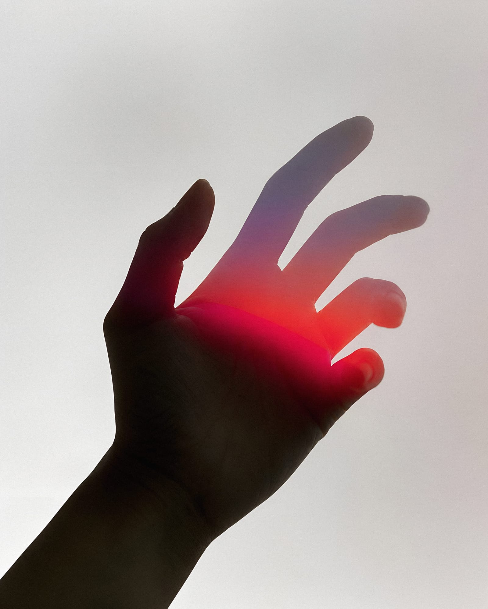 Reaching Towards The Light