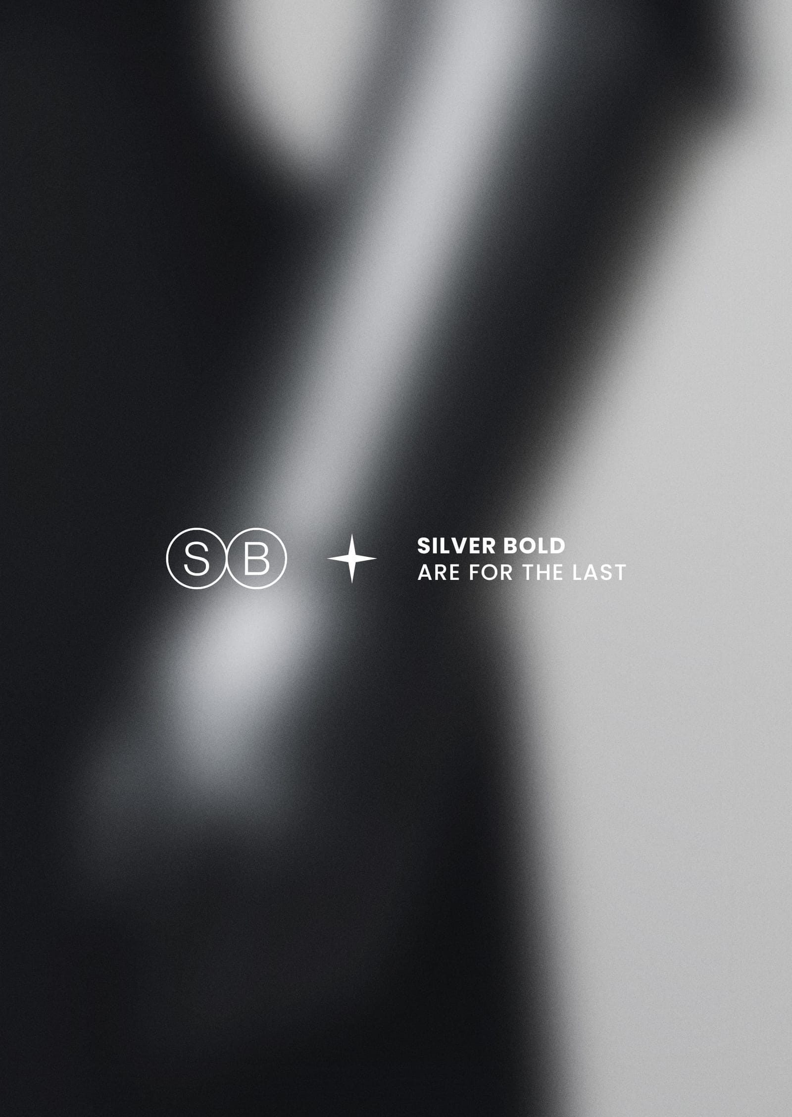 Silver Bold