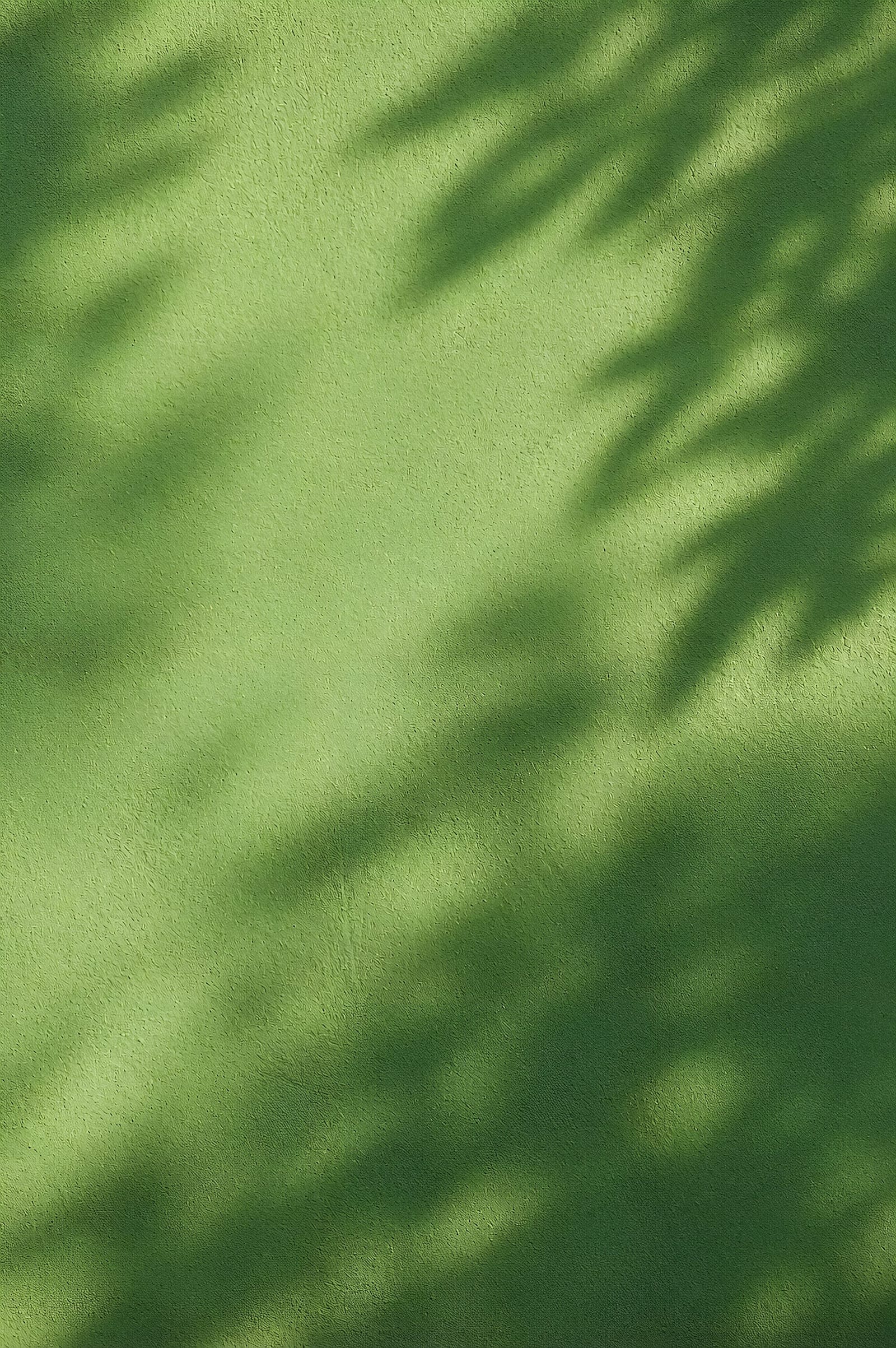 Sunlight And Shadows On Green Wall