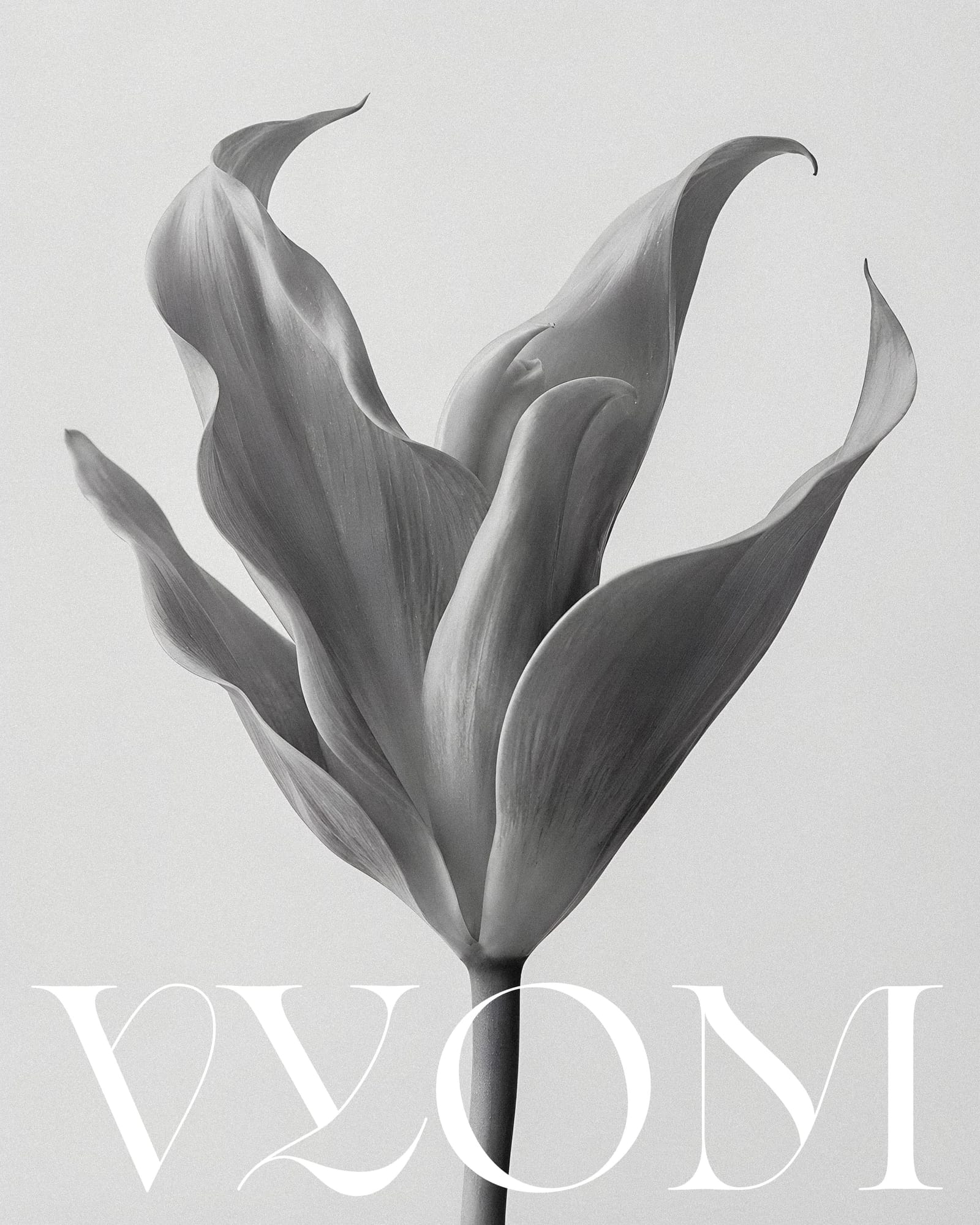 Vyom