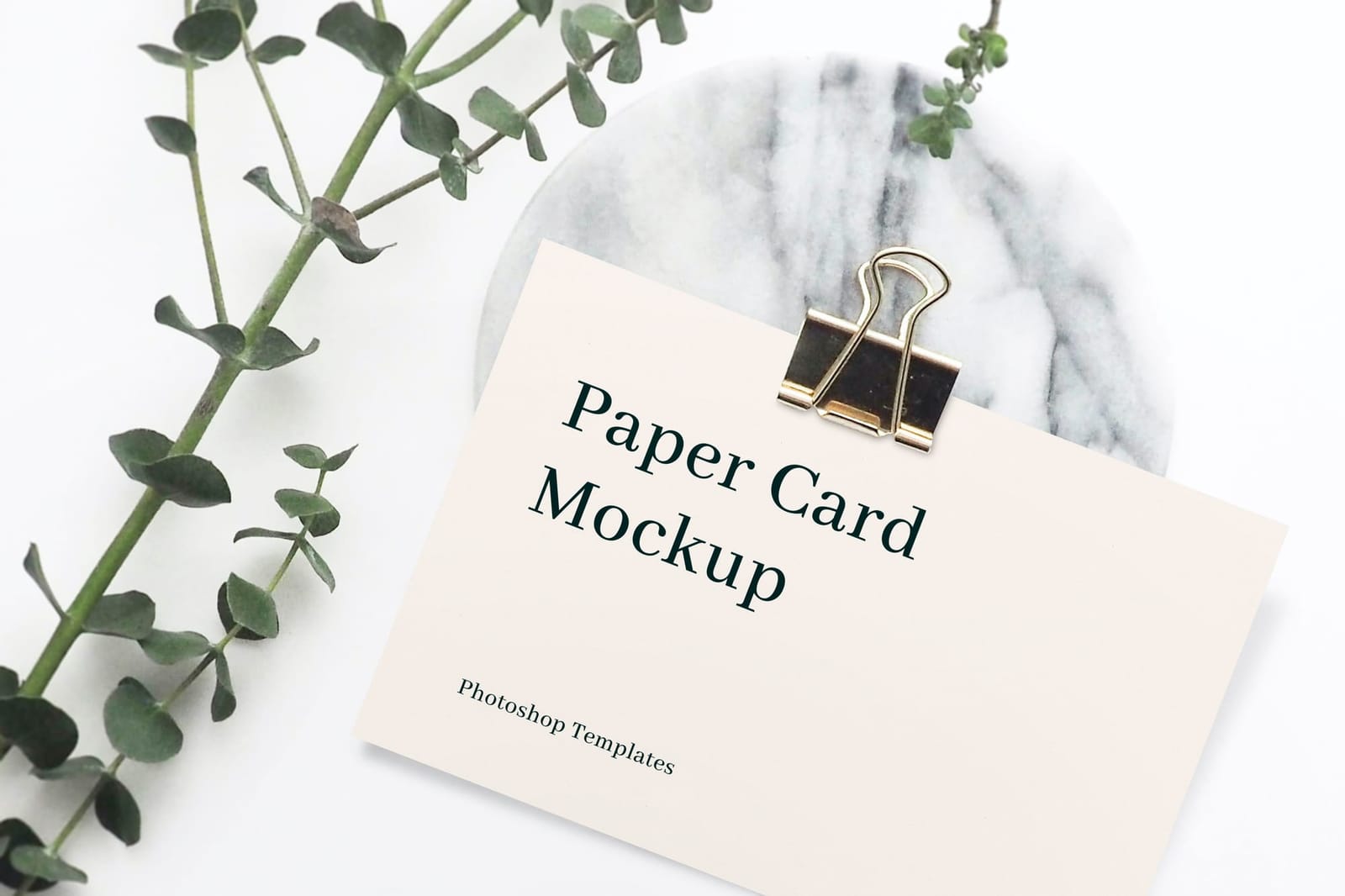 Paper Card Mockup