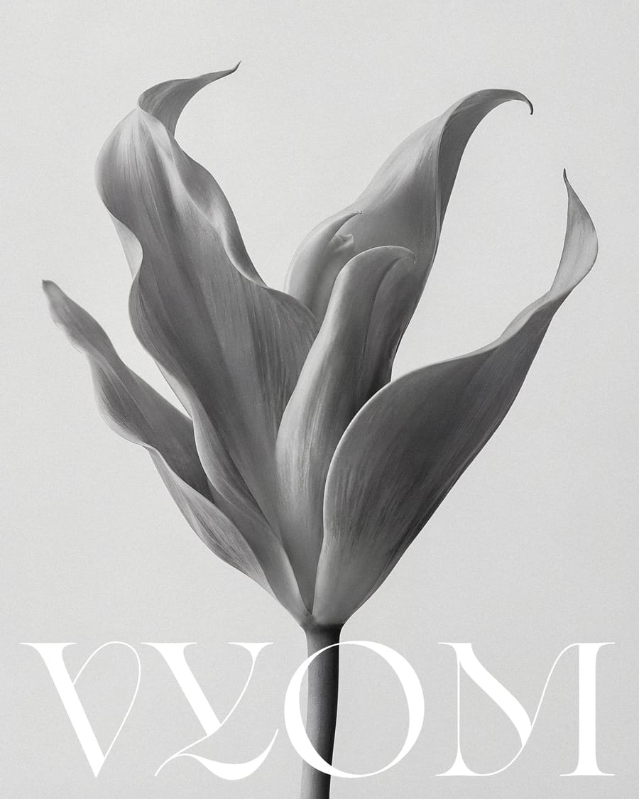 Vyom