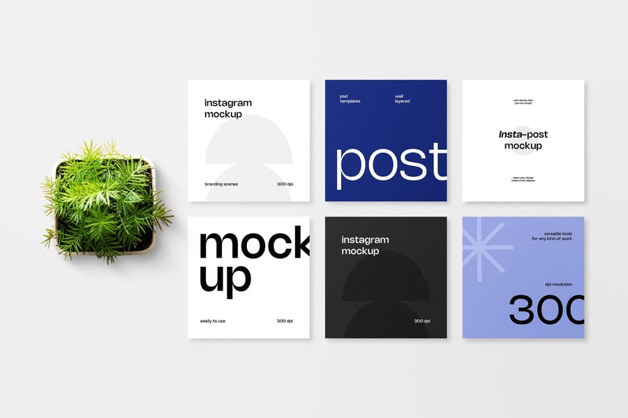 Clean Six Instagram Post Grid Mockup with Plant