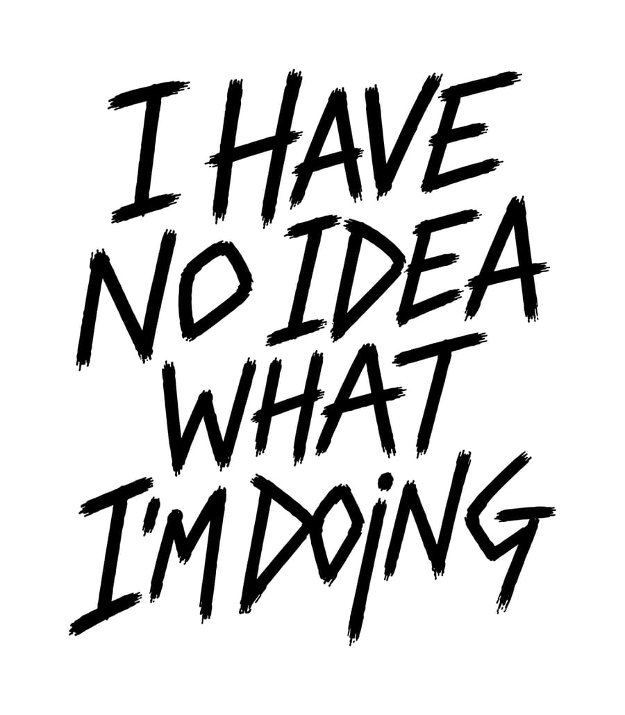 I Have No Idea What I'm Doing