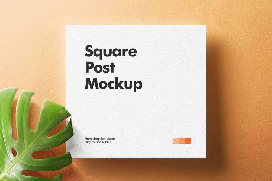 Nature Botanical Concept Minimal Square Post Mockup